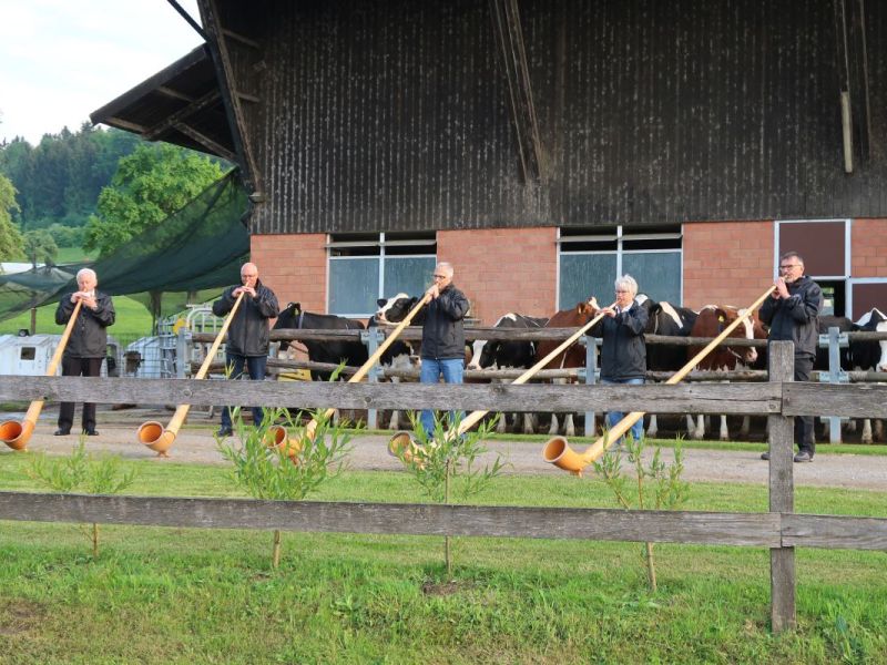Corona-Auftritt Dällikon