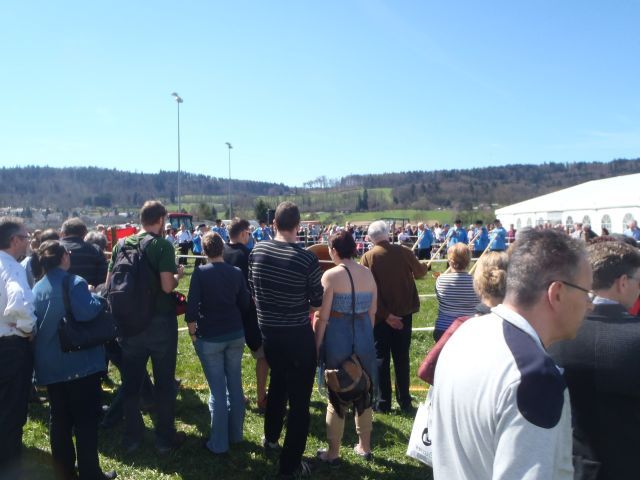 Furttalmesse 12.-14.4.2013
