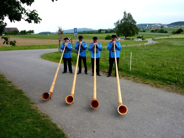 Bild_6