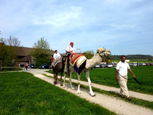Bild_7