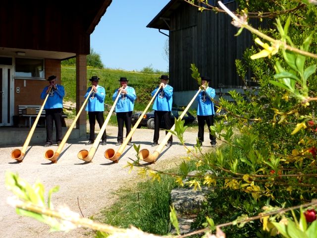 Bild_5