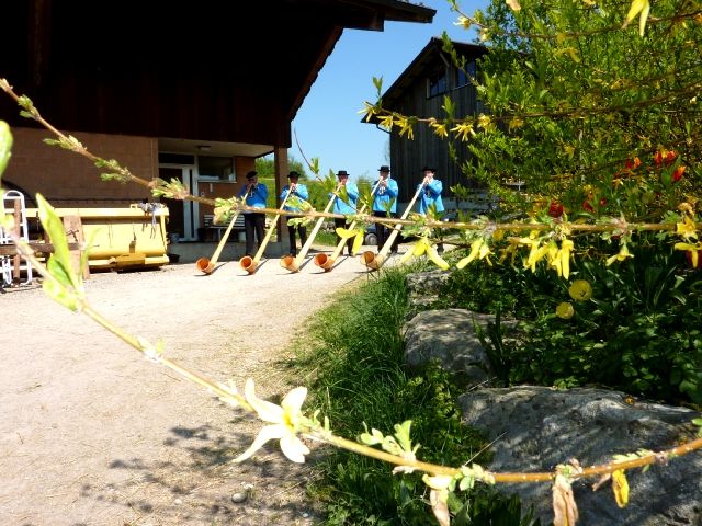 Bild_6