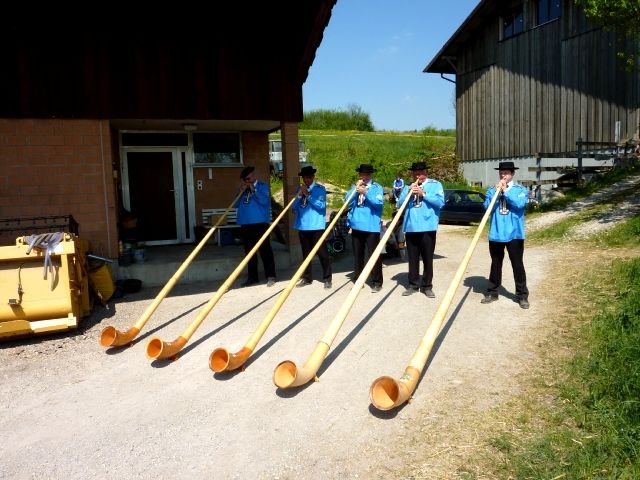 Bild_8
