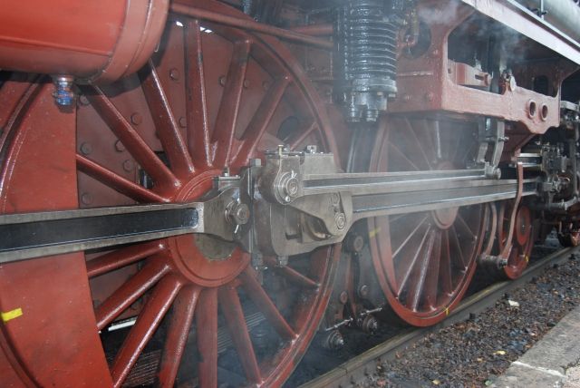 Vereins-Ausflug