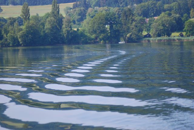 Vereinsausflug_16