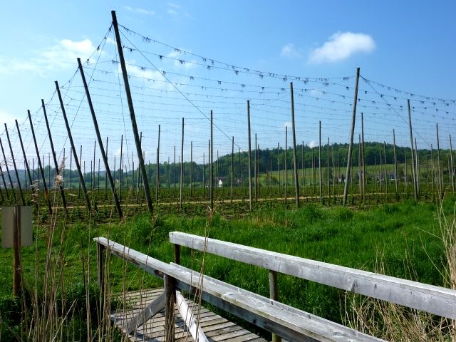 Bild_3