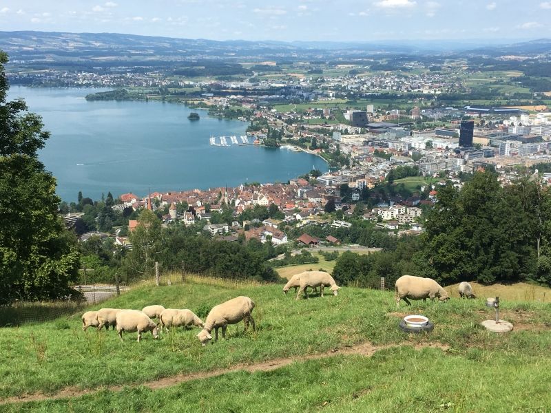 Vereinsausflug
