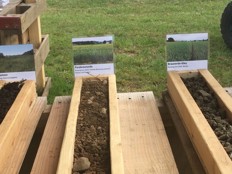 Watterfest 2019