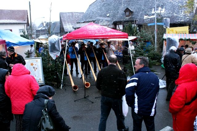 Bild_6